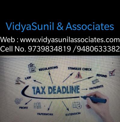 VidyaSunil & Associates