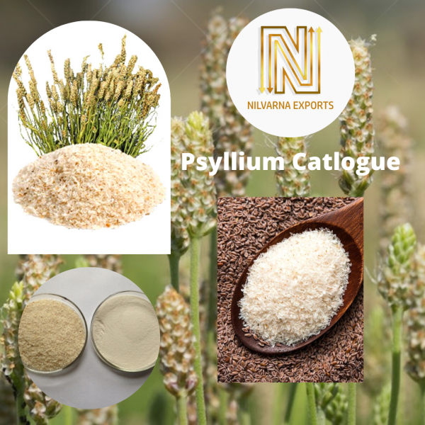 Psyllium husk