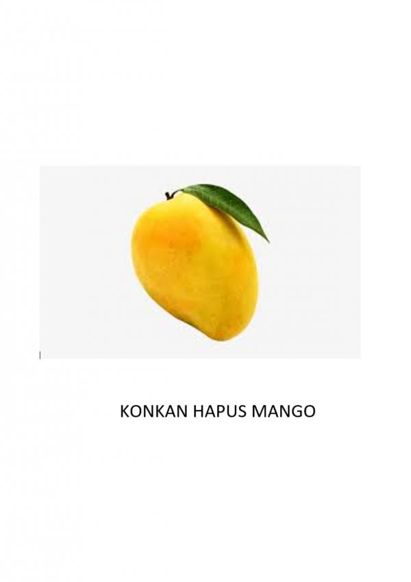 konkan hapoose mango fruit