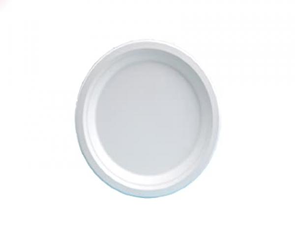 Bagasse Plain Plate 6