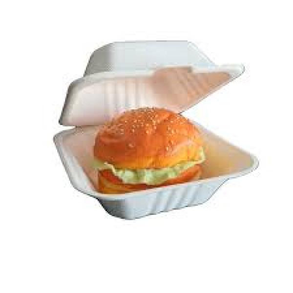 Bagasse Burger Box