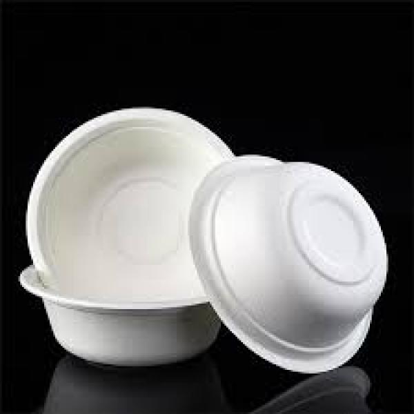 Bagasse Bowls