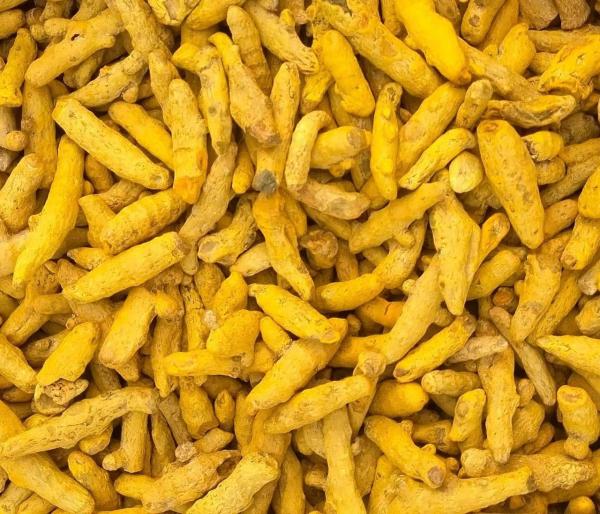 Turmeric Finger